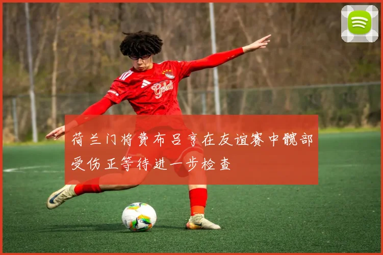 荷兰门将费布吕亨在友谊赛中髋部受伤正等待进一步检查